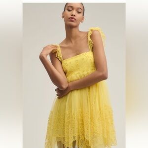 Let Me Be Eyelet Tulle Mini Dress